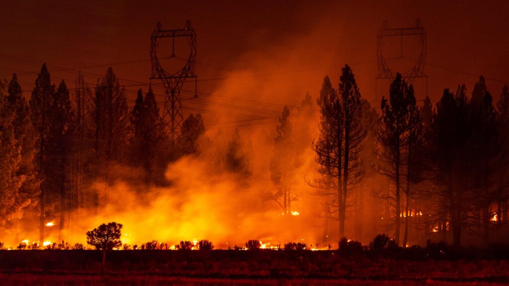 Wildfires
